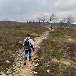 Saariselaellae, Sielukas Hirsimoekki - Unique