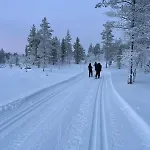 Saariselaellae, Sielukas Hirsimoekki - Unique * Saariselkä