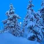 Saariselaellae, Sielukas Hirsimoekki - Unique Horská chata
