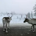 Saariselaellae, Sielukas Hirsimoekki - Unique Horská chata Saariselka