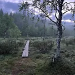 Saariselaellae, Sielukas Hirsimoekki - Unique