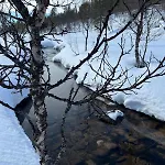 Saariselaellae, Sielukas Hirsimoekki - Unique * Saariselka
