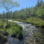 Saariselaellae, Sielukas Hirsimoekki - Unique Saariselka