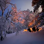 Saariselaellae, Sielukas Hirsimoekki - Unique Saariselka