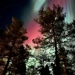 Saariselaellae, Sielukas Hirsimoekki - Unique