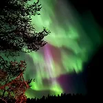 Saariselaellae, Sielukas Hirsimoekki - Unique