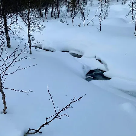 Saariselaellae, Sielukas Hirsimoekki - Unique