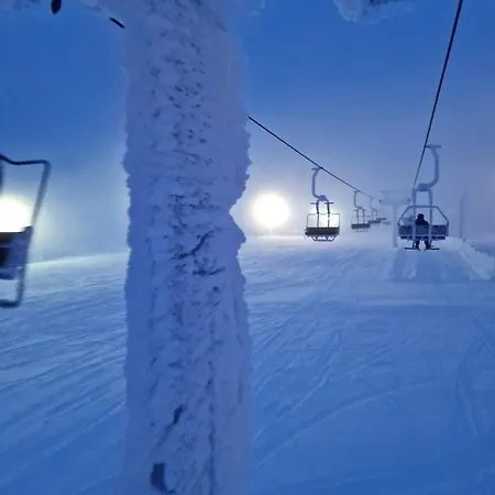Saariselaellae, Sielukas Hirsimoekki - Unique Chalet *