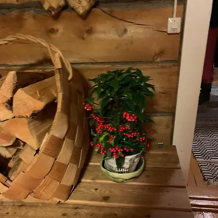 Saariselaellae, Sielukas Hirsimoekki - Unique Saariselkä