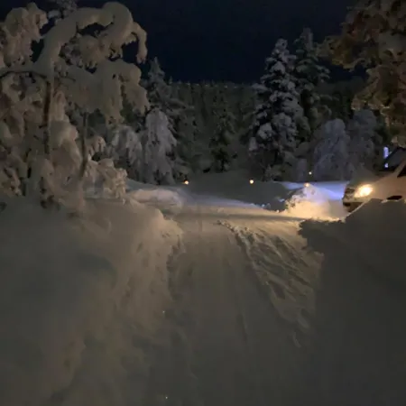 Saariselaellae, Sielukas Hirsimoekki - Unique *