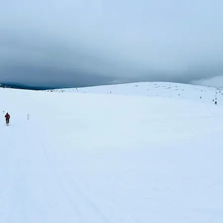 Horská chata Saariselaellae, Sielukas Hirsimoekki - Unique *