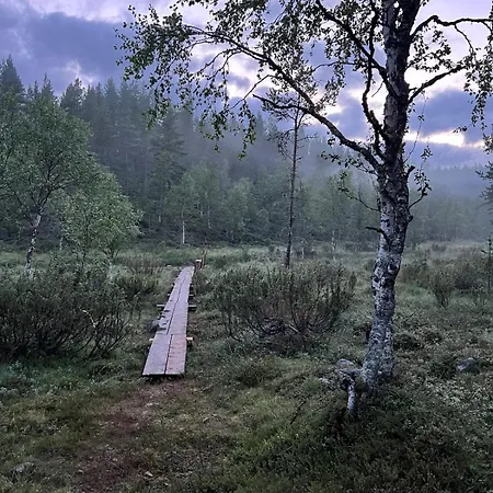 Saariselaellae, Sielukas Hirsimoekki - Unique