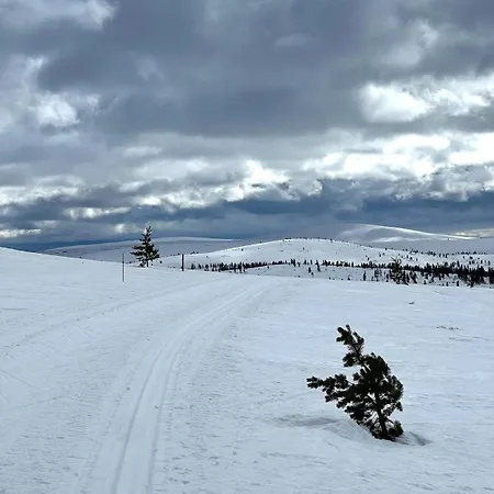 Saariselaellae, Sielukas Hirsimoekki - Unique *