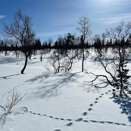 Saariselaellae, Sielukas Hirsimoekki - Unique * サーリセルカ