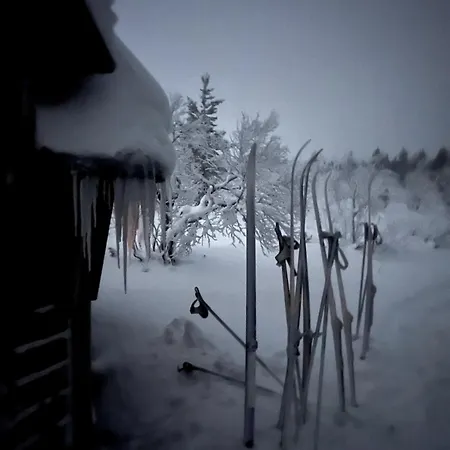 샬레 Saariselaellae, Sielukas Hirsimoekki - Unique *
