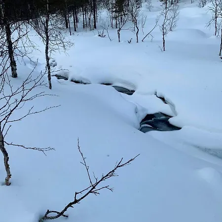 Saariselaellae, Sielukas Hirsimoekki - Unique *
