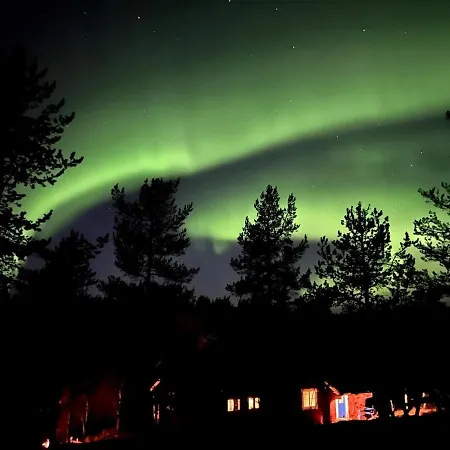 Saariselaellae, Sielukas Hirsimoekki - Unique