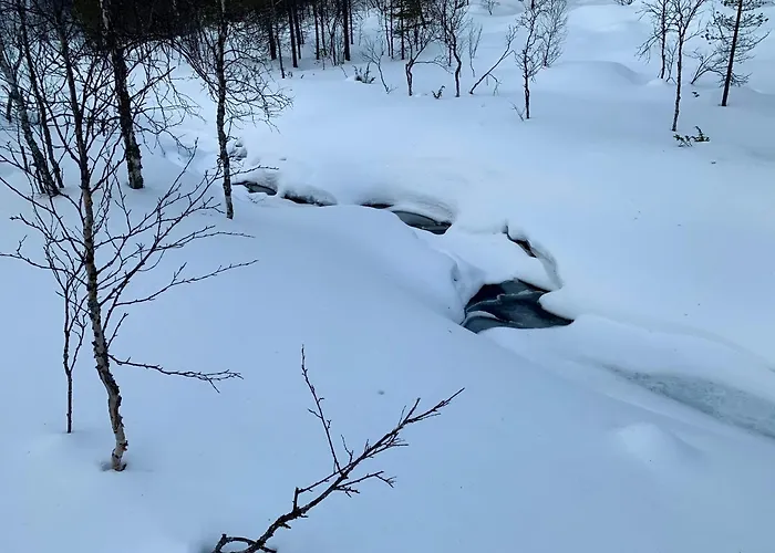 Saariselaellae, Sielukas Hirsimoekki - Unique