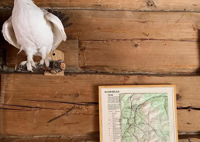 Saariselaellae, Sielukas Hirsimoekki - Unique * Saariselkä