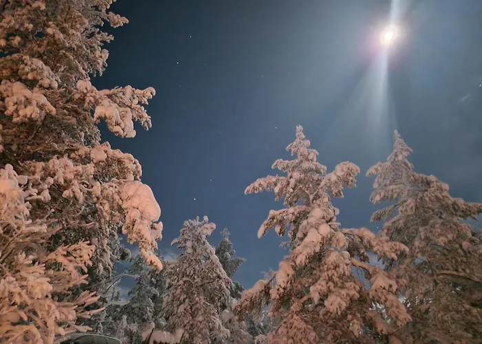 Domek alpejski Saariselaellae, Sielukas Hirsimoekki - Unique Saariselkä