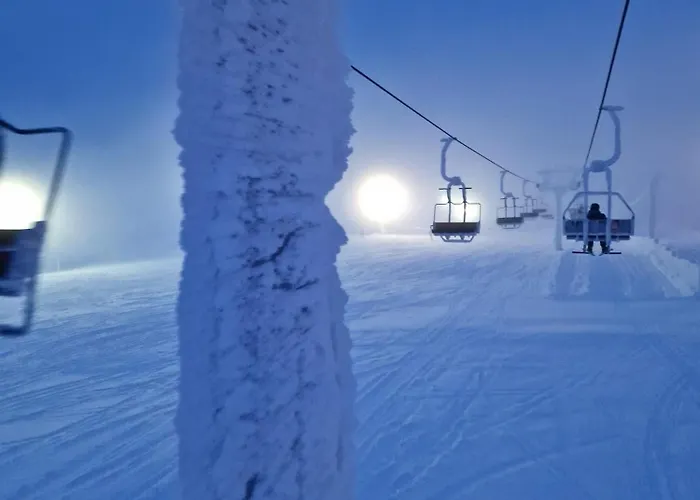 Saariselaellae, Sielukas Hirsimoekki - Unique Domek alpejski *