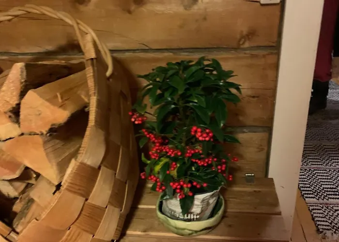 Saariselaellae, Sielukas Hirsimoekki - Unique Saariselka